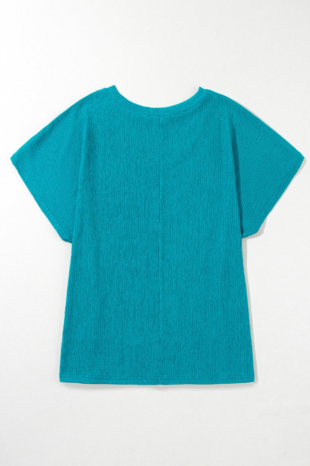 Plus Size V-Neck Short Sleeve Top - Charming Charlie