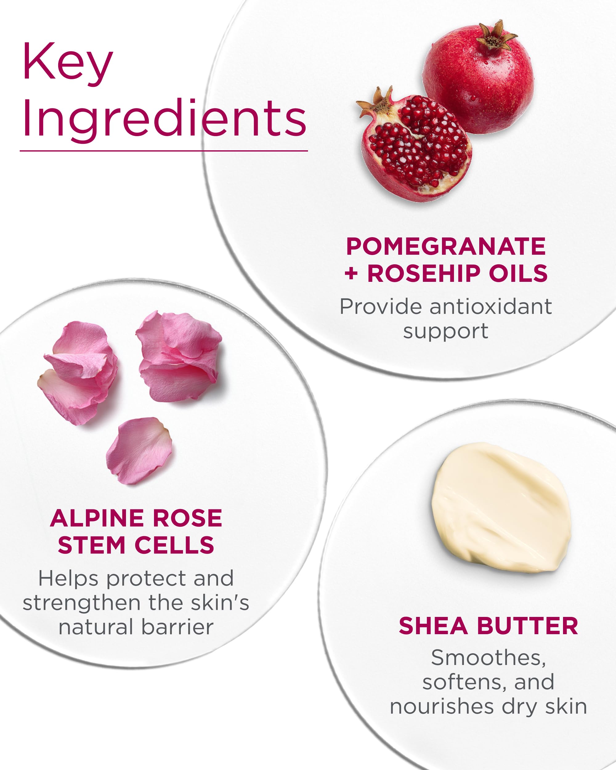 Andalou Naturals Body Lotion - Charming Charlie