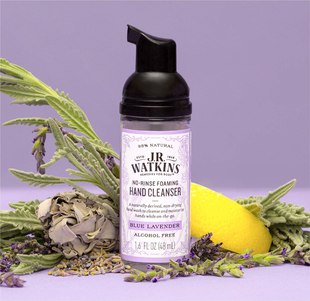 J.R. Watkins No-Rinse Foaming Hand Cleanser β Hand Soap in Pump Dispenser β Bathroom & Kitchen Foam Cleaner β All Natural, Alcohol Free, Blue Lavender, 1.6 fl. Oz - Charming Charlie