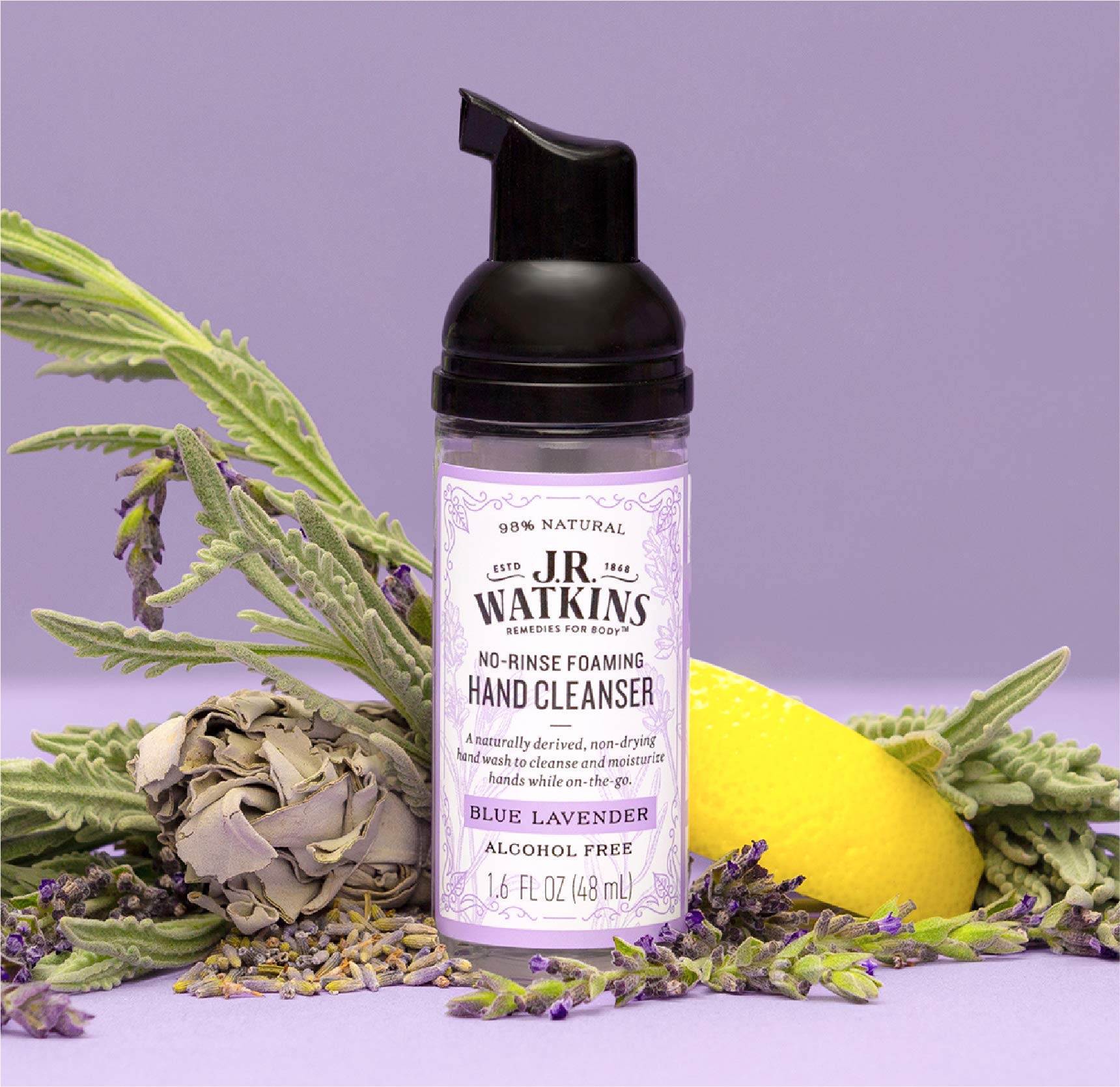J.R. Watkins No-Rinse Foaming Hand Cleanser β Hand Soap in Pump Dispenser β Bathroom & Kitchen Foam Cleaner β All Natural, Alcohol Free, Blue Lavender, 1.6 fl. Oz - Charming Charlie