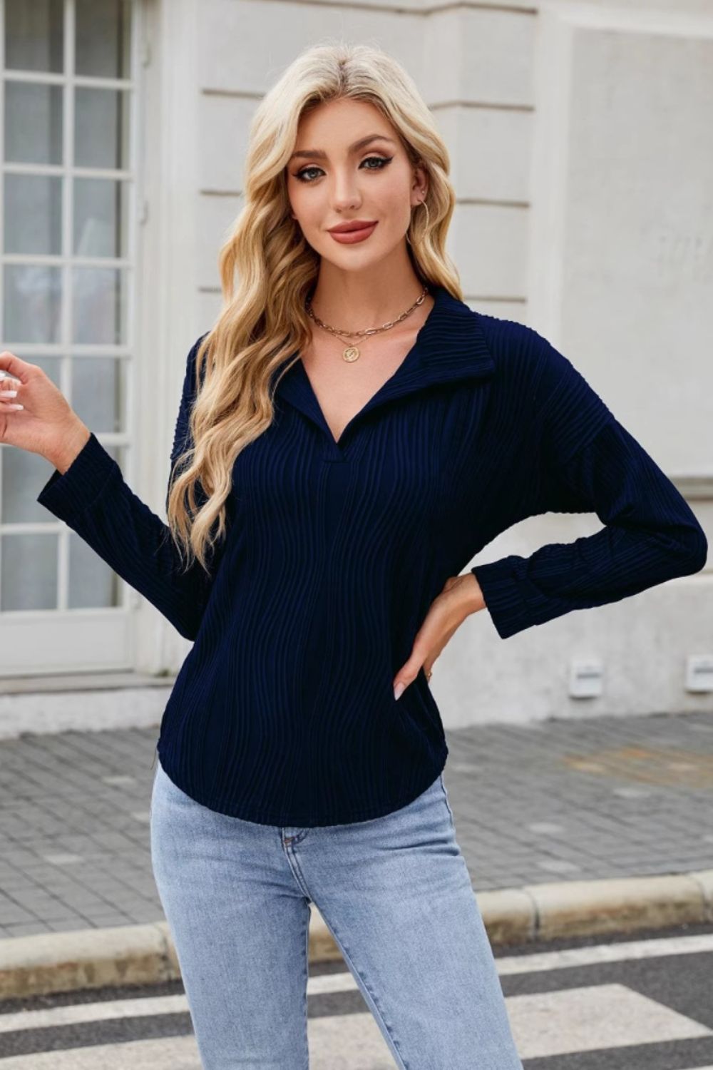 Texture Collared Neck Long Sleeve Blouse - Charming Charlie