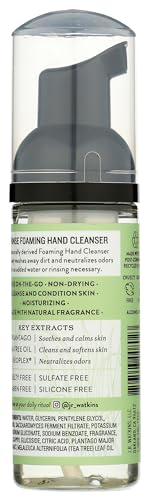 J.R. Watkins No-Rinse Foaming Hand Cleanser β Hand Soap in Pump Dispenser β Bathroom & Kitchen Foam Cleaner β All Natural, Alcohol Free, Blue Lavender, 1.6 fl. Oz - Charming Charlie