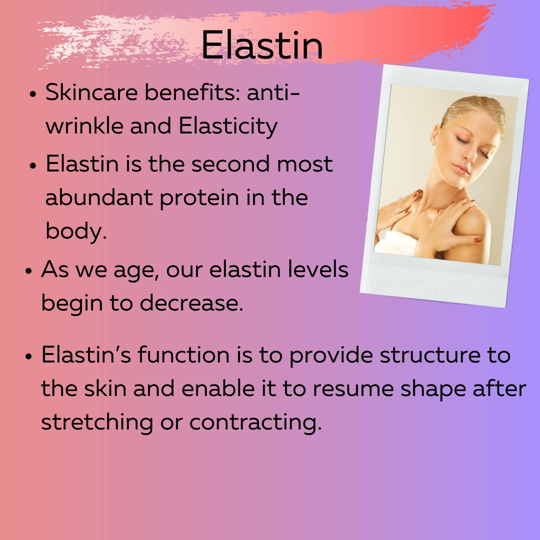 Delfanti-Milano • COLLAGEN with VITAMIN C & ELASTIN • Rejuvenating & Nourishing • Anti-Aging Night Cream • Face and Neck Moisturizer • Made in Italy - Charming Charlie