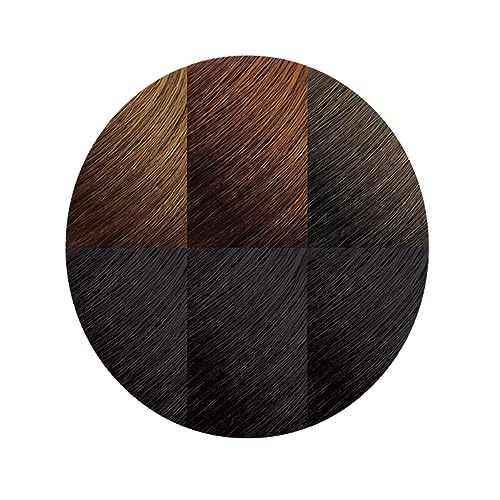 Moisture Rich Liquid Hair Color by Creme of Nature, C10 Jet Black, with Shea Butter Conditioner, 1 Application - Charming Charlie