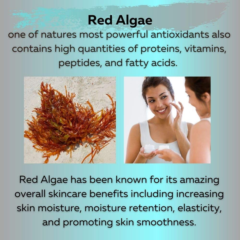 Delfanti-Milano • COLLAGEN REJUVENATING AND NOURISHING Night Cream • Face and Neck Moisturizer with BLACK PEARL and RED ALGAE GEL• Made in Italy - Charming Charlie