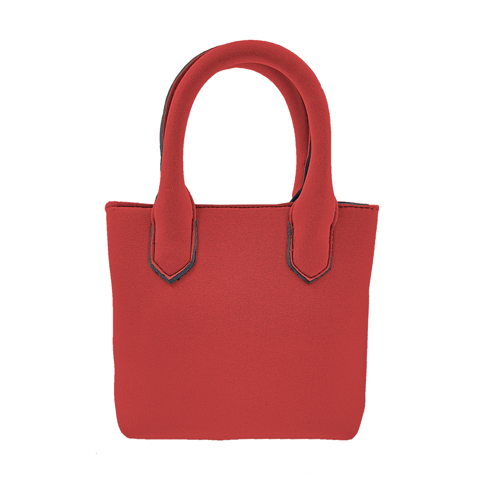 NEW! Lindsey Satchel - Charming Charlie