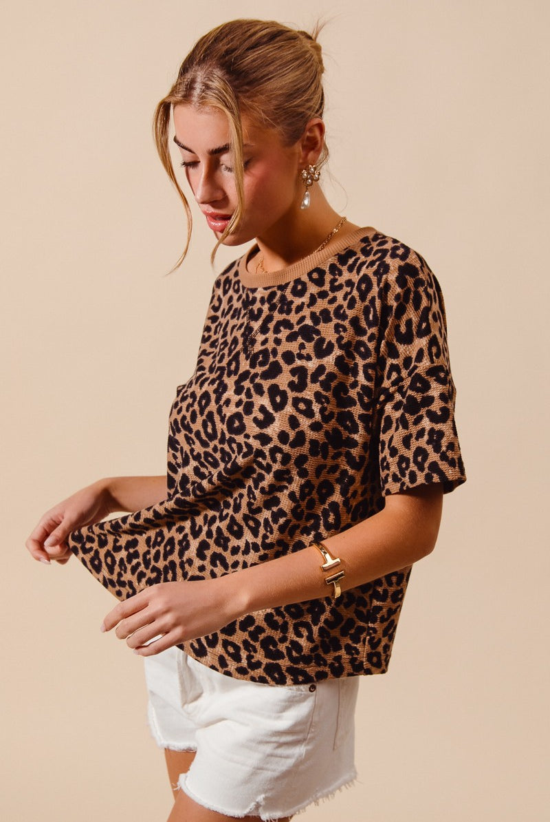 8b2844a6162c4305b1b58c07e275f305-Max