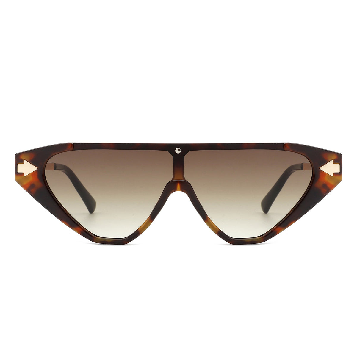 Zedillia - Triangle Mod Irregular Fashion Vintage Geometric Retro Sunglasses - Charming Charlie