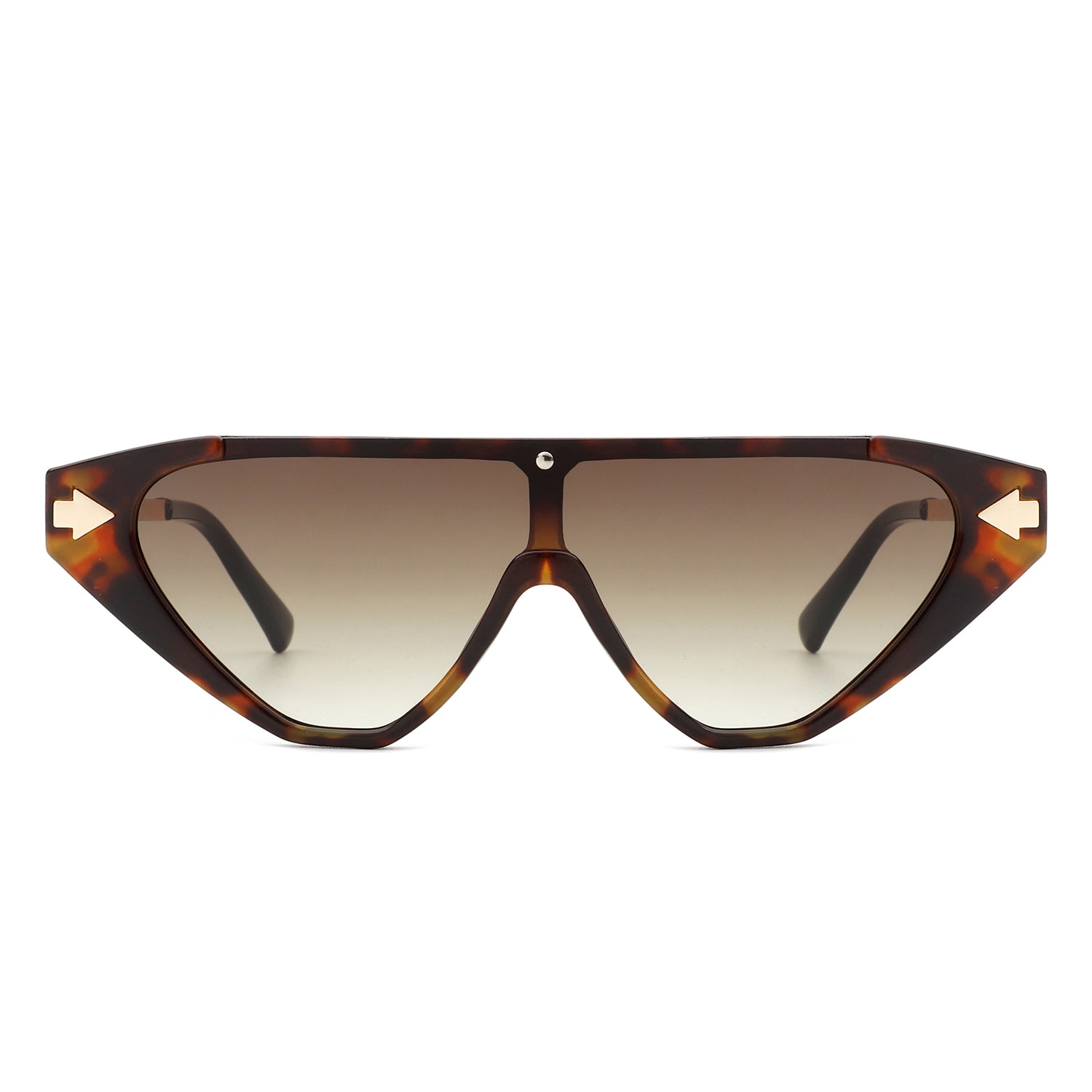 Zedillia - Triangle Mod Irregular Fashion Vintage Geometric Retro Sunglasses - Charming Charlie