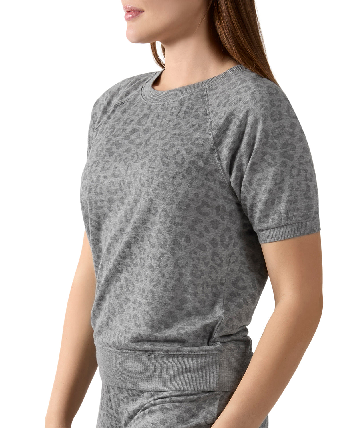 Women's Terry Lounge Leopard Print Short Sleeve Sweatshirt - Charming Charlie