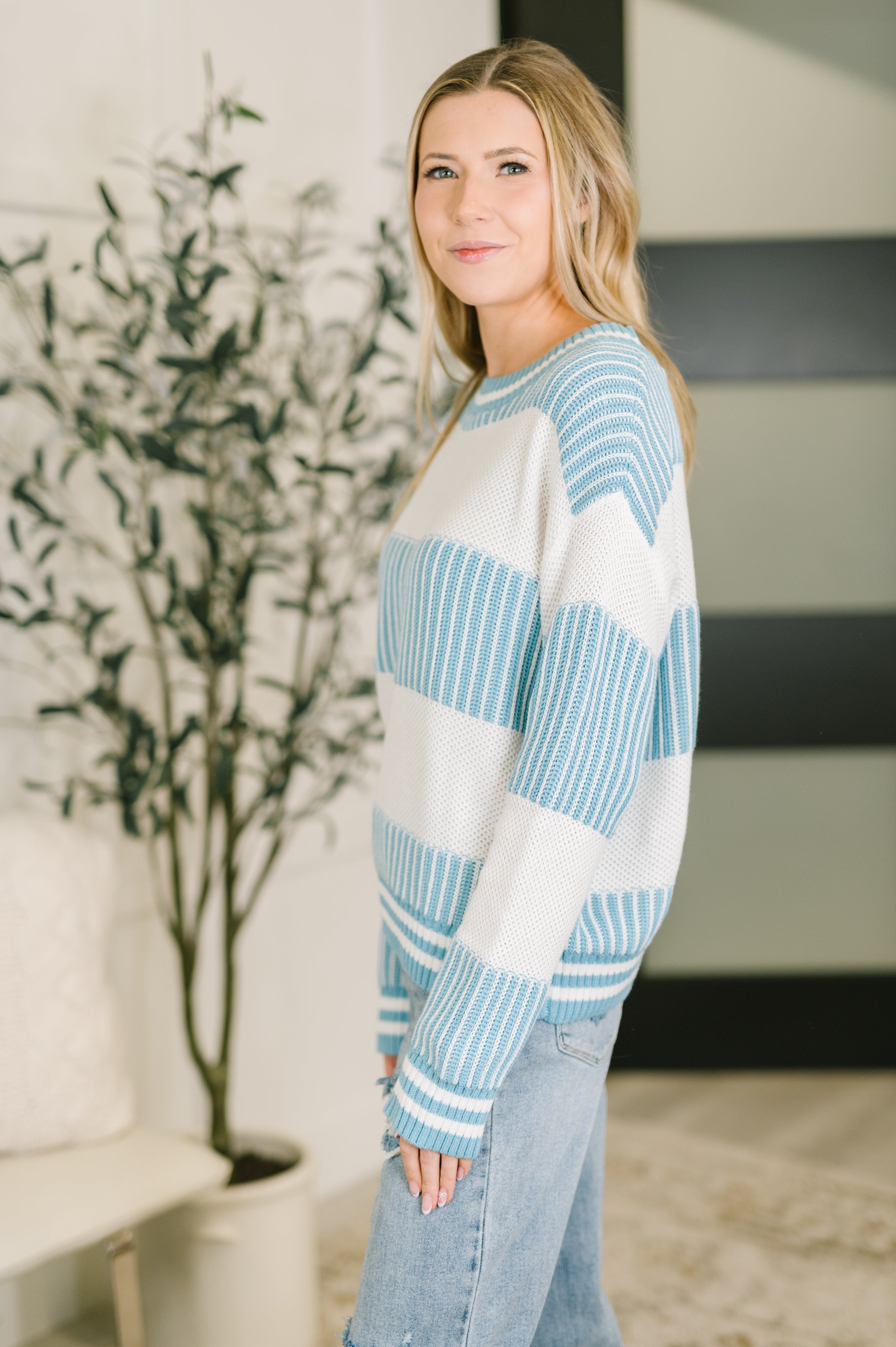 Frosted Snuggle Textured Knit Pullover - Charming Charlie