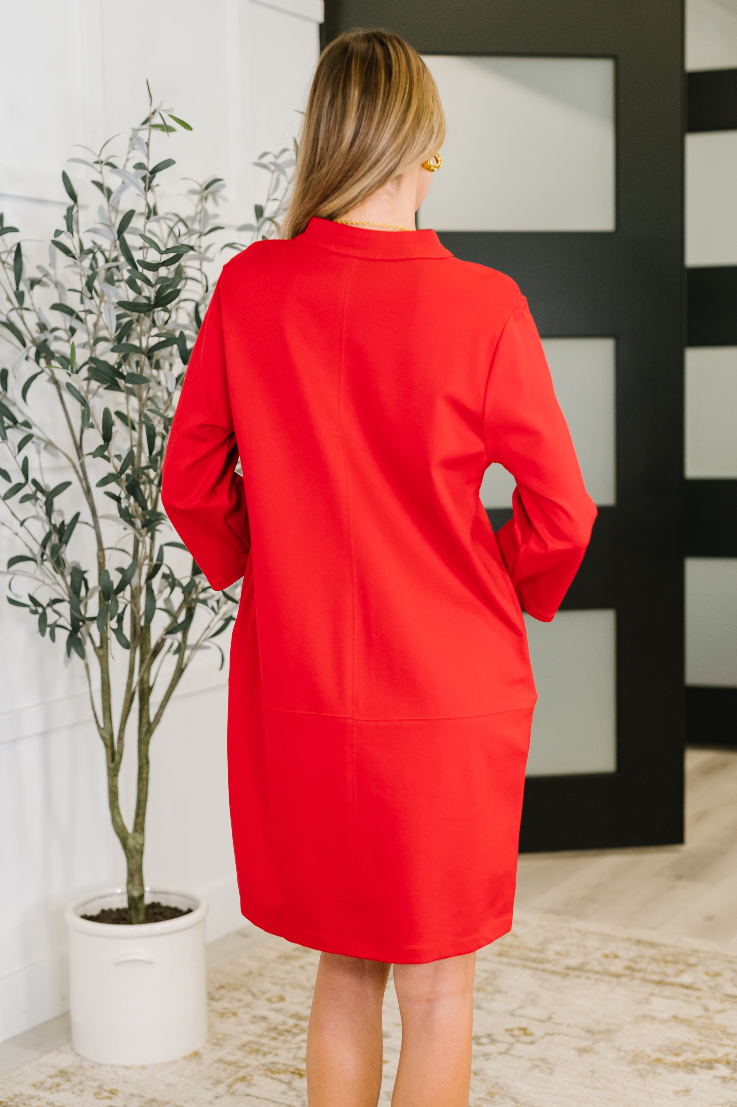 Portfolio Quarter Sleeve Dress in Red - Charming Charlie