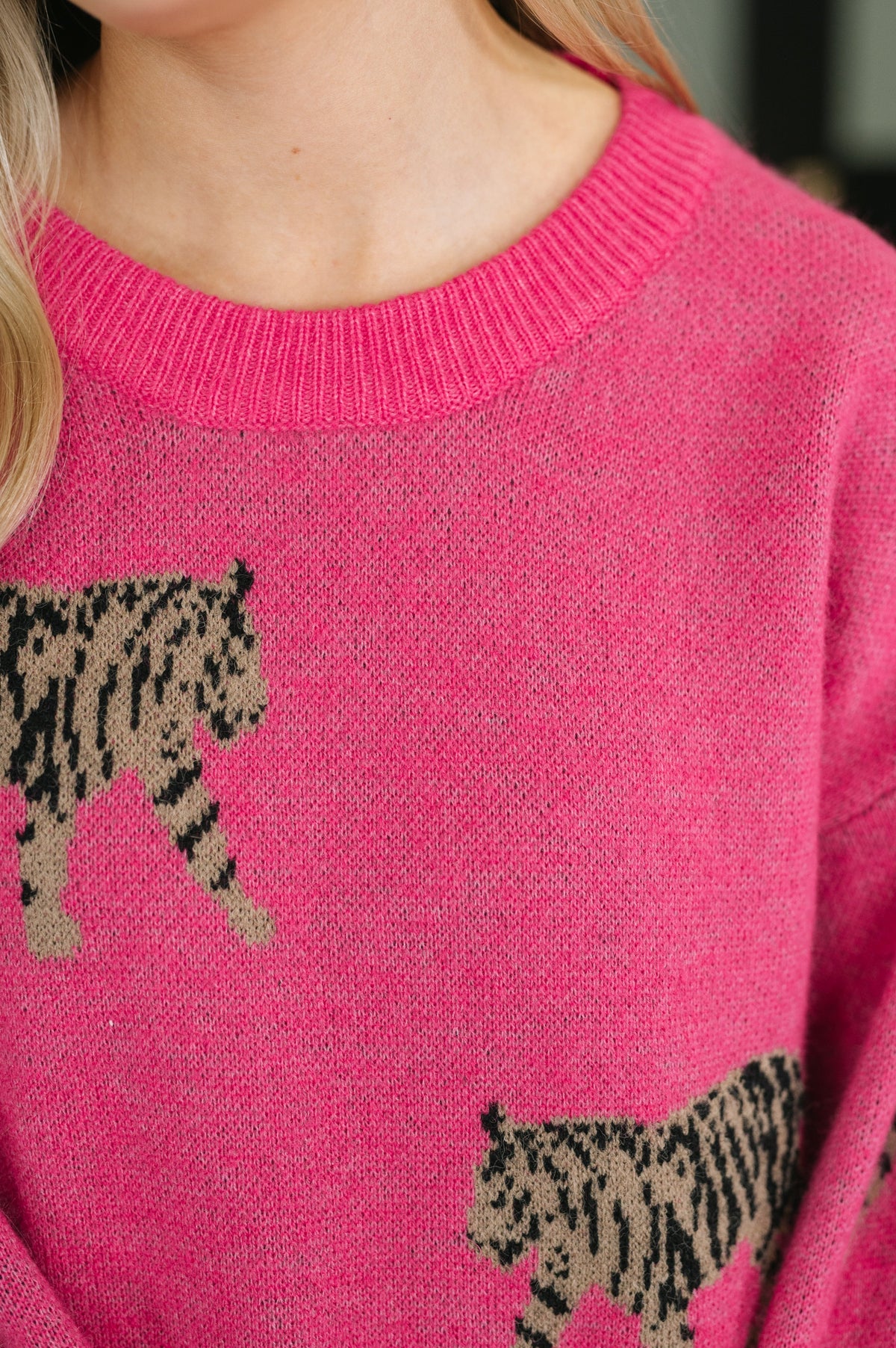 Pretty and Prowling Graphic Pullover in Pink - Charming Charlie