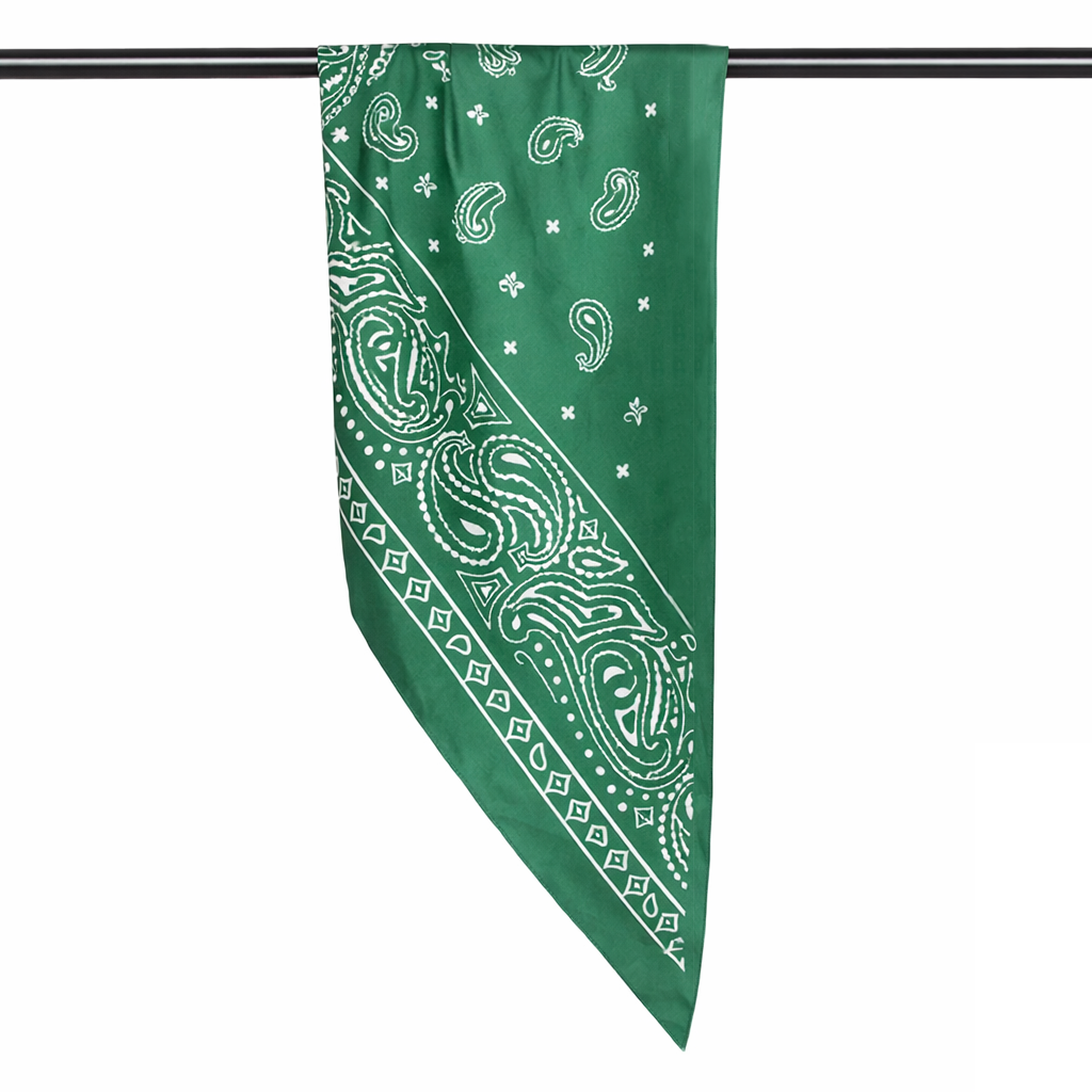 Paisley Print Triangle Scarf - Charming Charlie