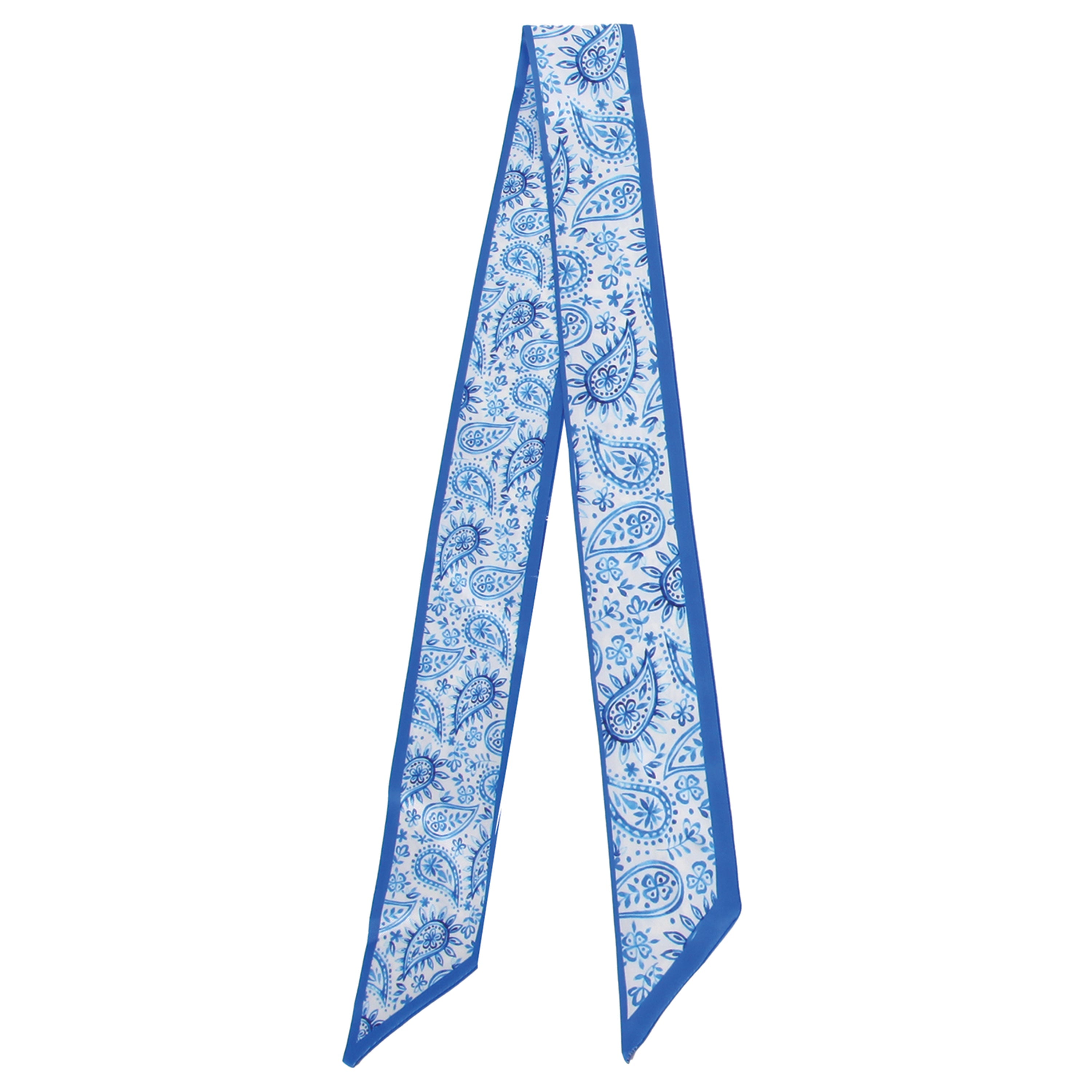 Paisley Line Skinny Scarf - Charming Charlie