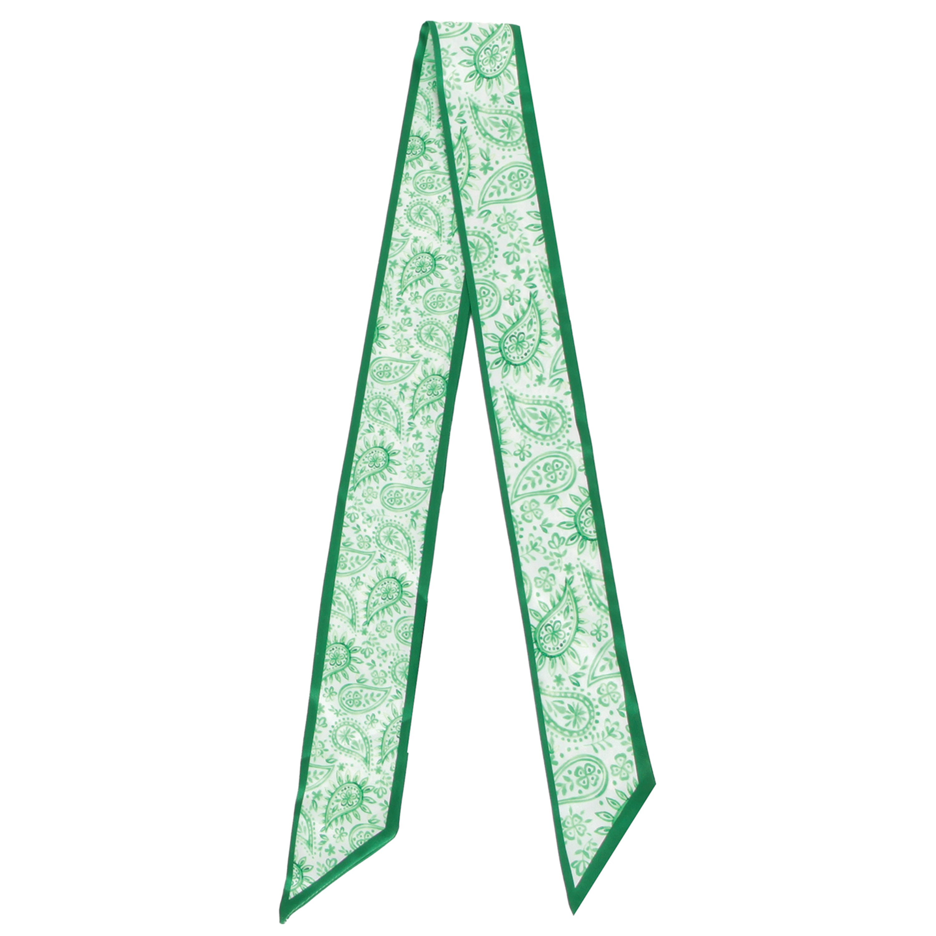 Paisley Line Skinny Scarf - Charming Charlie
