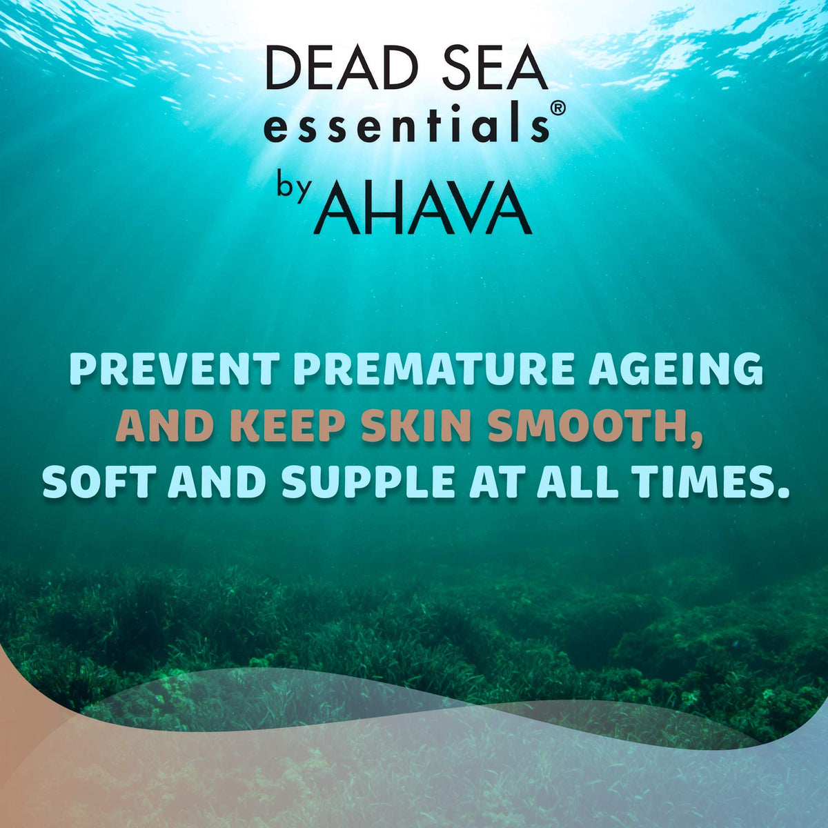 Dead Sea Essentials Mud Night Cream, Hydrating Moisturizing Vegan Skin Care, Cruelty free - 1.69 Fl oz, 50 ml - Charming Charlie