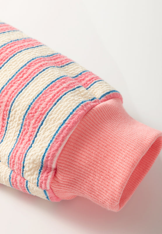 Striped Johnny Collar Long Sleeve Sweatshirt - Charming Charlie