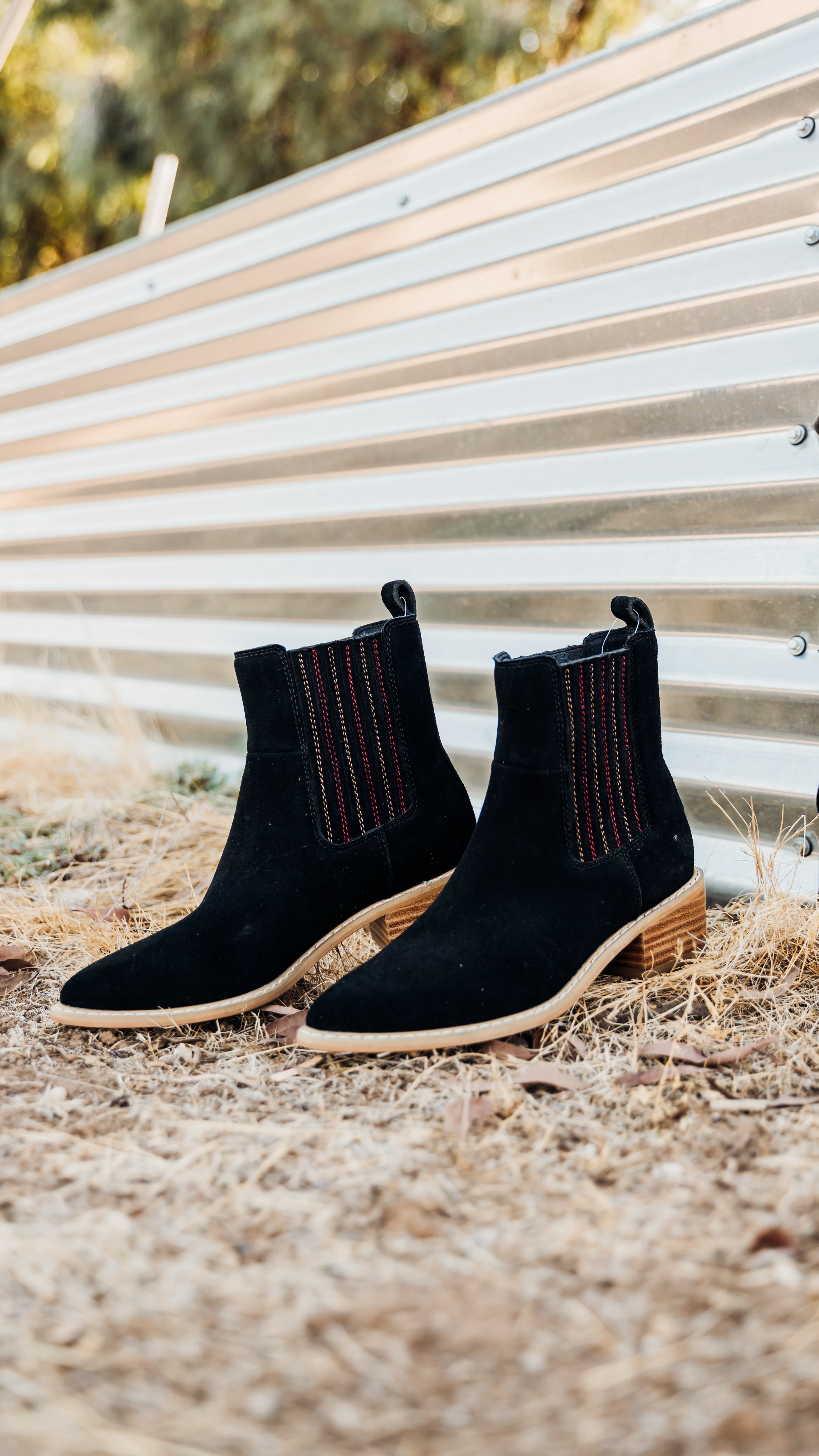 Leonor Suede Ankle Boot in Black - Charming Charlie