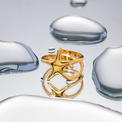 Gold-Plated Stainless Steel Star Ring - Charming Charlie