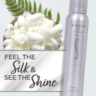 BioSilk Silk Therapy Shine On, Hairspray For Controlling Frizz & Providing Brilliant Shine, Sulfate, Paraben, & Cruelty-Free, 5.3 Oz - Charming Charlie