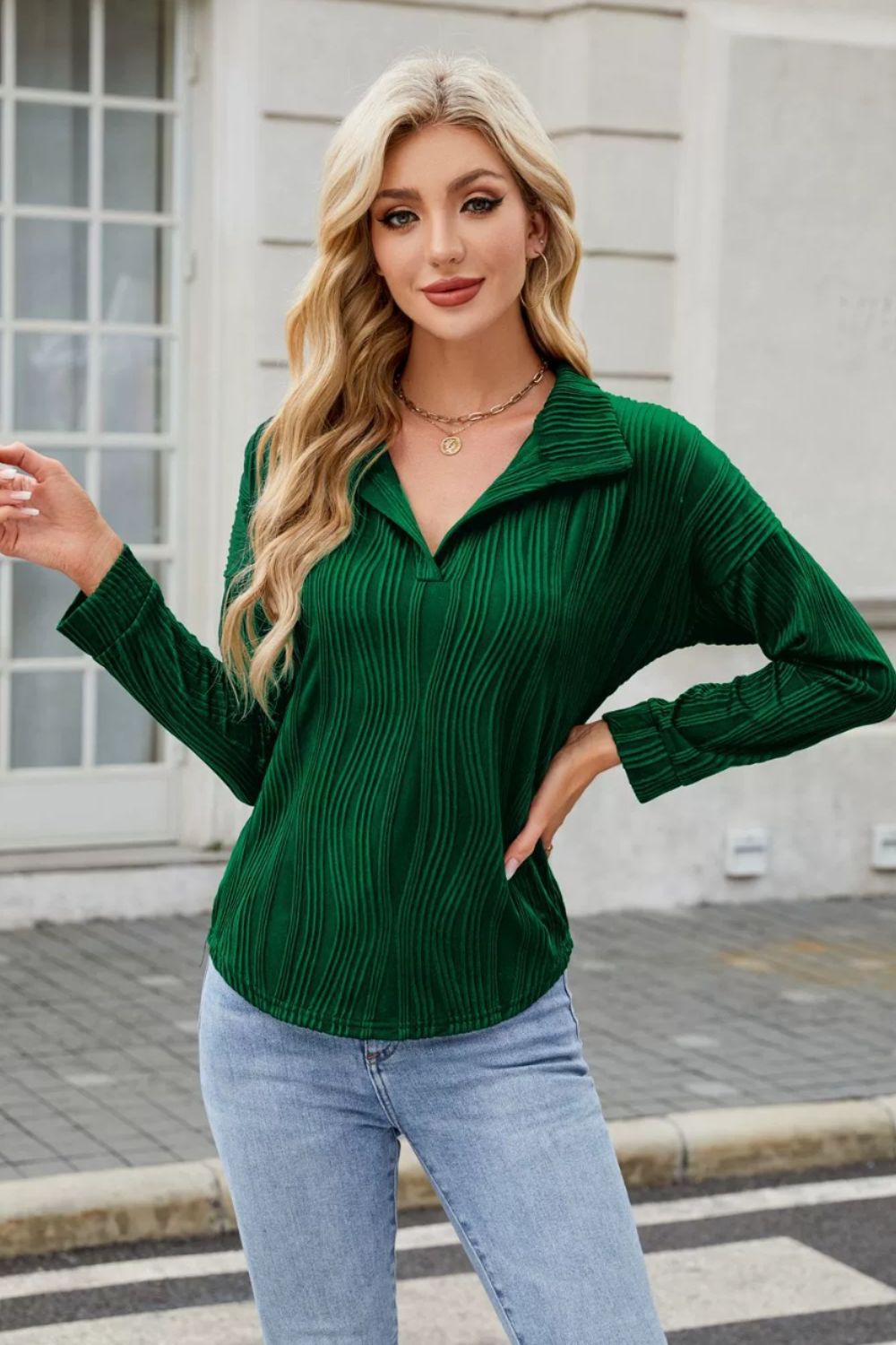 Texture Collared Neck Long Sleeve Blouse - Charming Charlie