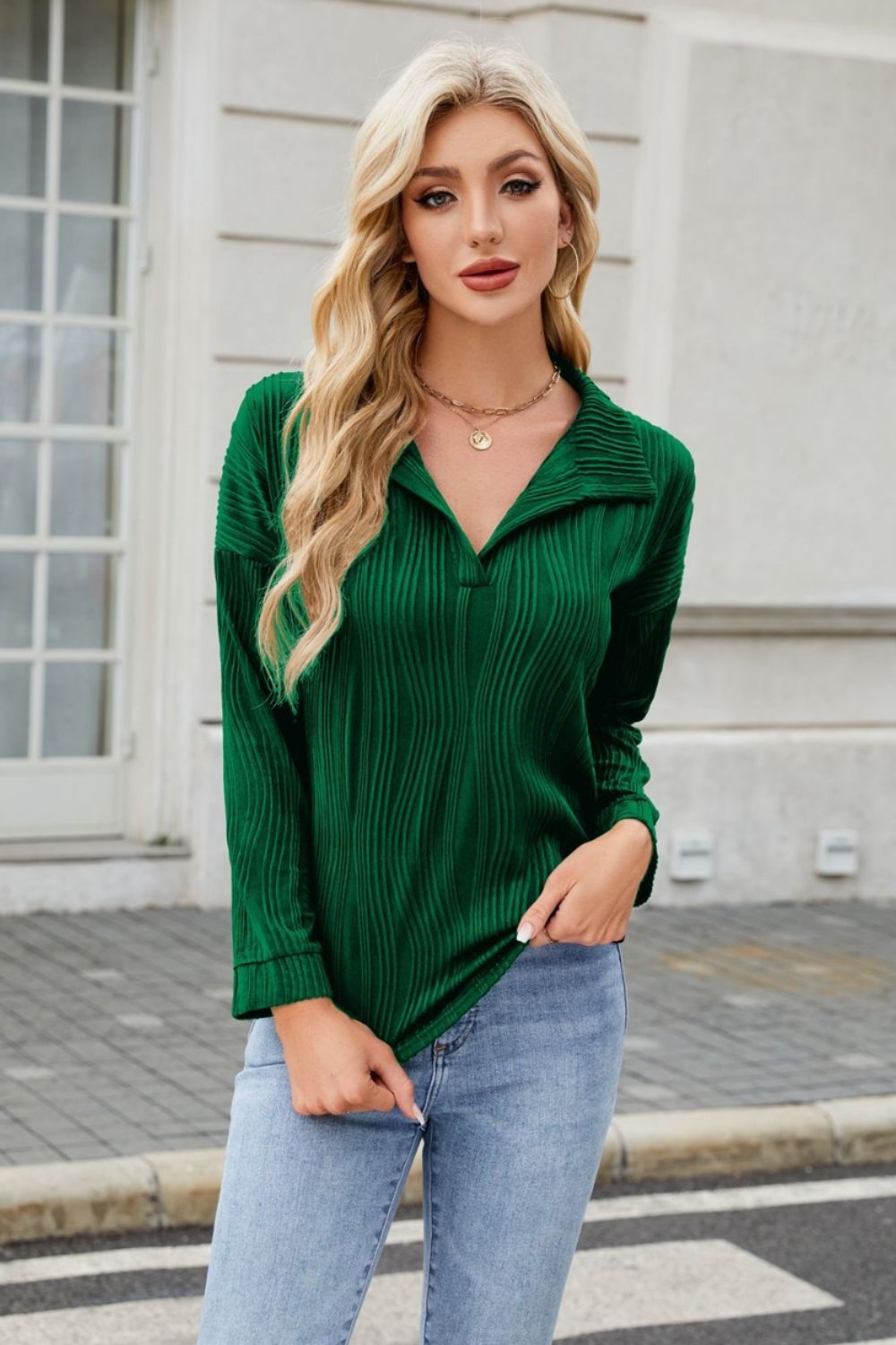 Texture Collared Neck Long Sleeve Blouse - Charming Charlie