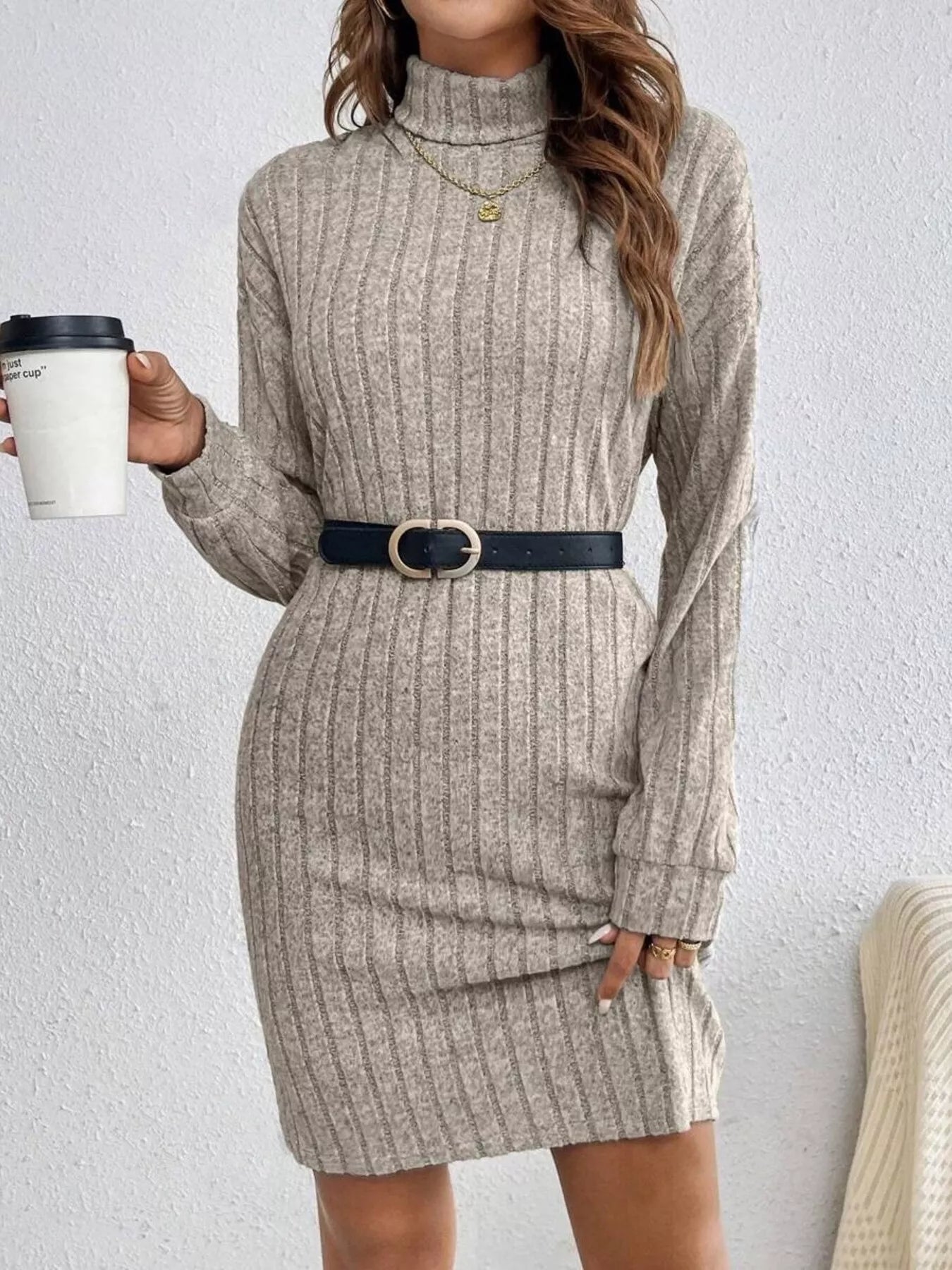 Ribbed Knit Turtleneck Mini Dress Black / M