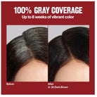 Revlon Colorsilk Natural Hair Color, 1N Black Each - Charming Charlie
