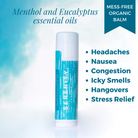 First-Timer Bundle - Honestly Margo