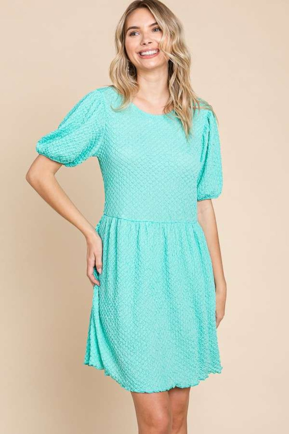 Culture Code Full Size Textured Round Neck Puff Sleeve Dress Mint / 3XL Culture Code Full Size Textured Round Neck Puff Sleeve Dress Mint / 3XL