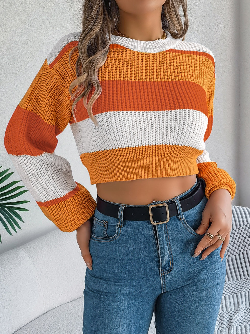 Color Block Round Neck Sweater