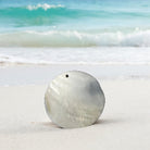 Round Iridescent Shell Pendant - Charming Charlie