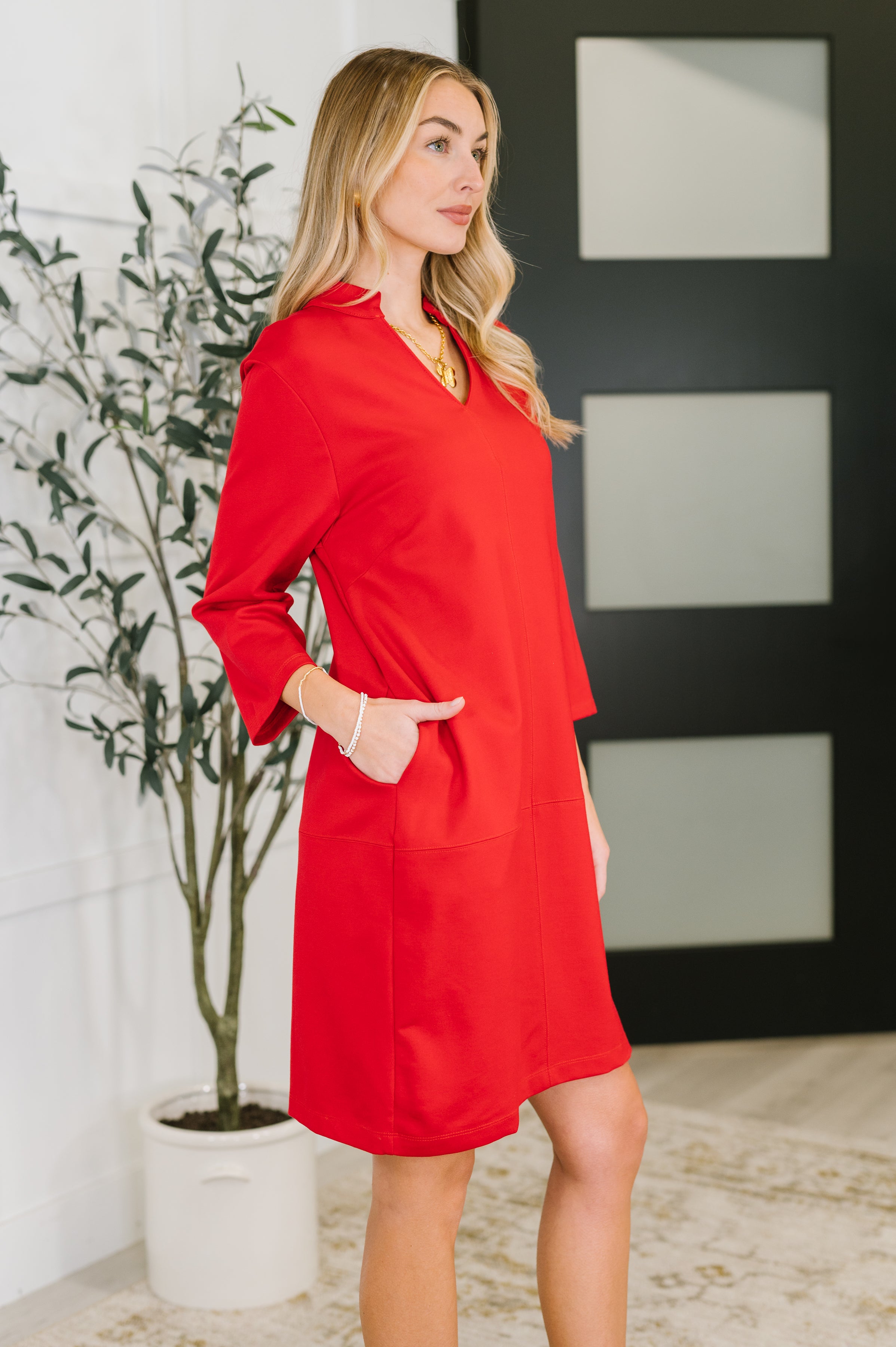 Portfolio Quarter Sleeve Dress in Red - Charming Charlie