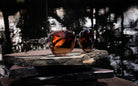 Steve Madden Animal Print Sunglasses - Charming Charlie