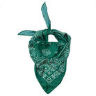 Paisley Print Triangle Scarf - Charming Charlie
