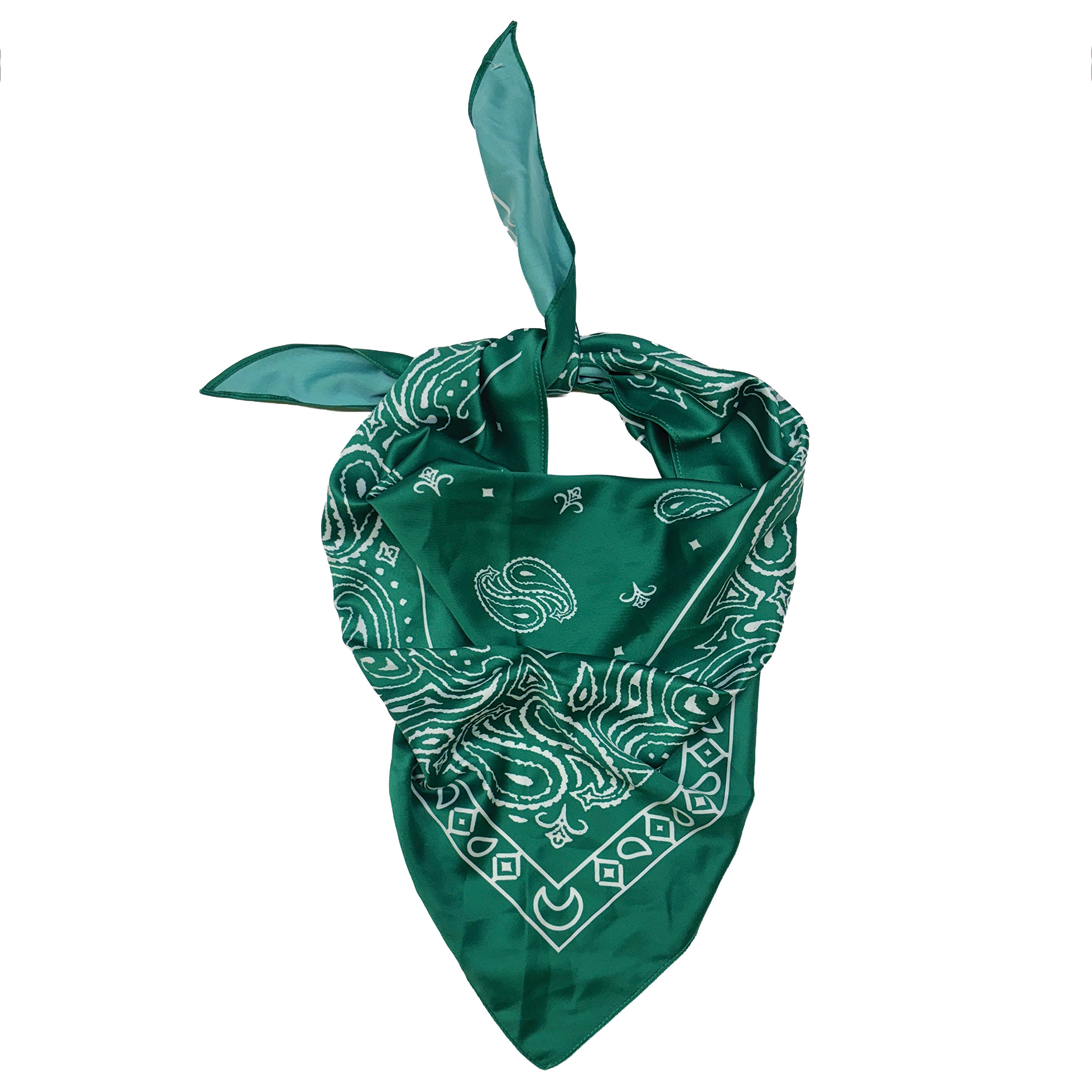 Paisley Print Triangle Scarf - Charming Charlie