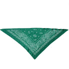 Paisley Print Triangle Scarf - Charming Charlie