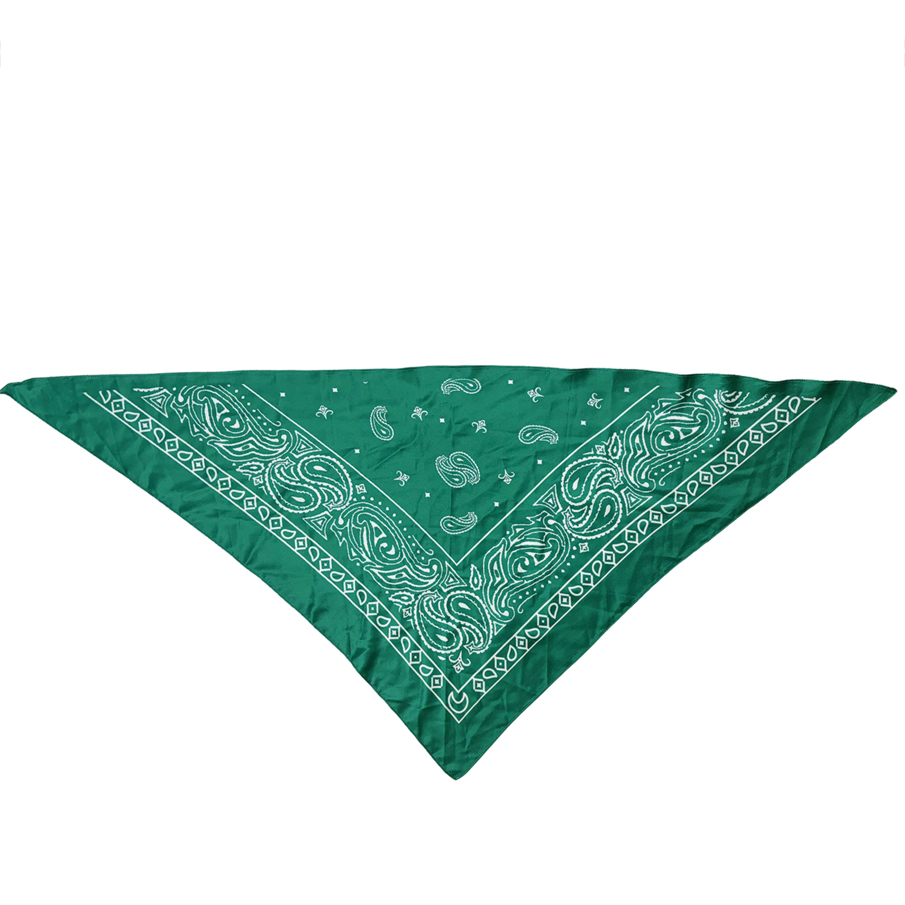 Paisley Print Triangle Scarf - Charming Charlie