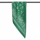 Paisley Print Triangle Scarf - Charming Charlie