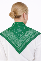 Paisley Print Triangle Scarf - Charming Charlie