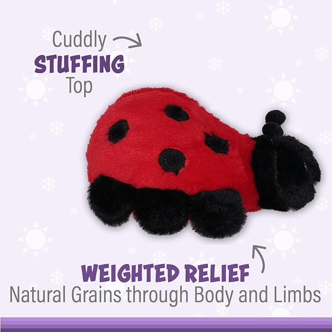 PREORDER: Ladybug Warm Pal - Charming Charlie