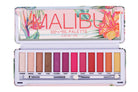 Eyeshadow Palette (Malibu) - Charming Charlie