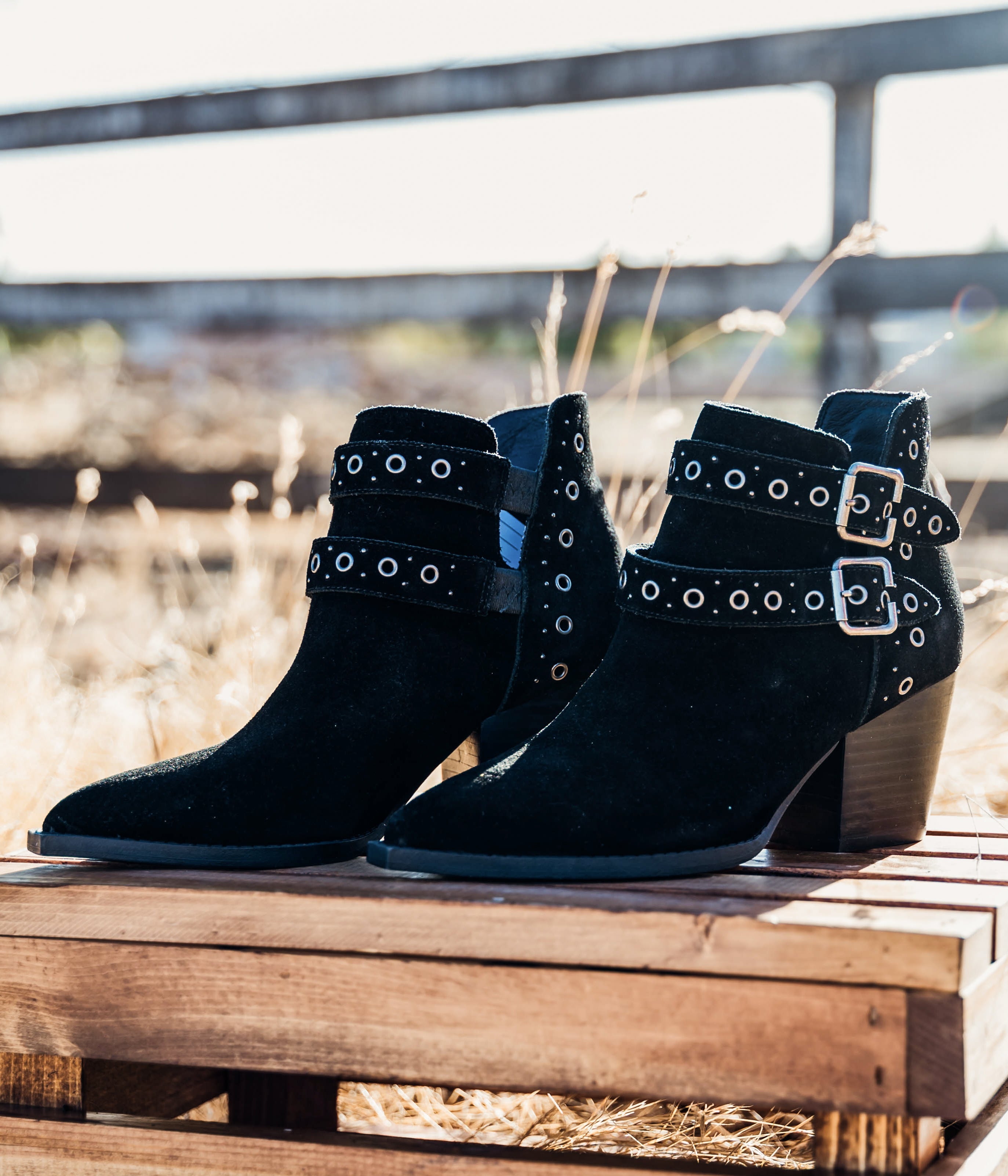 Elsa Leather Ankle Boot in Black - Charming Charlie
