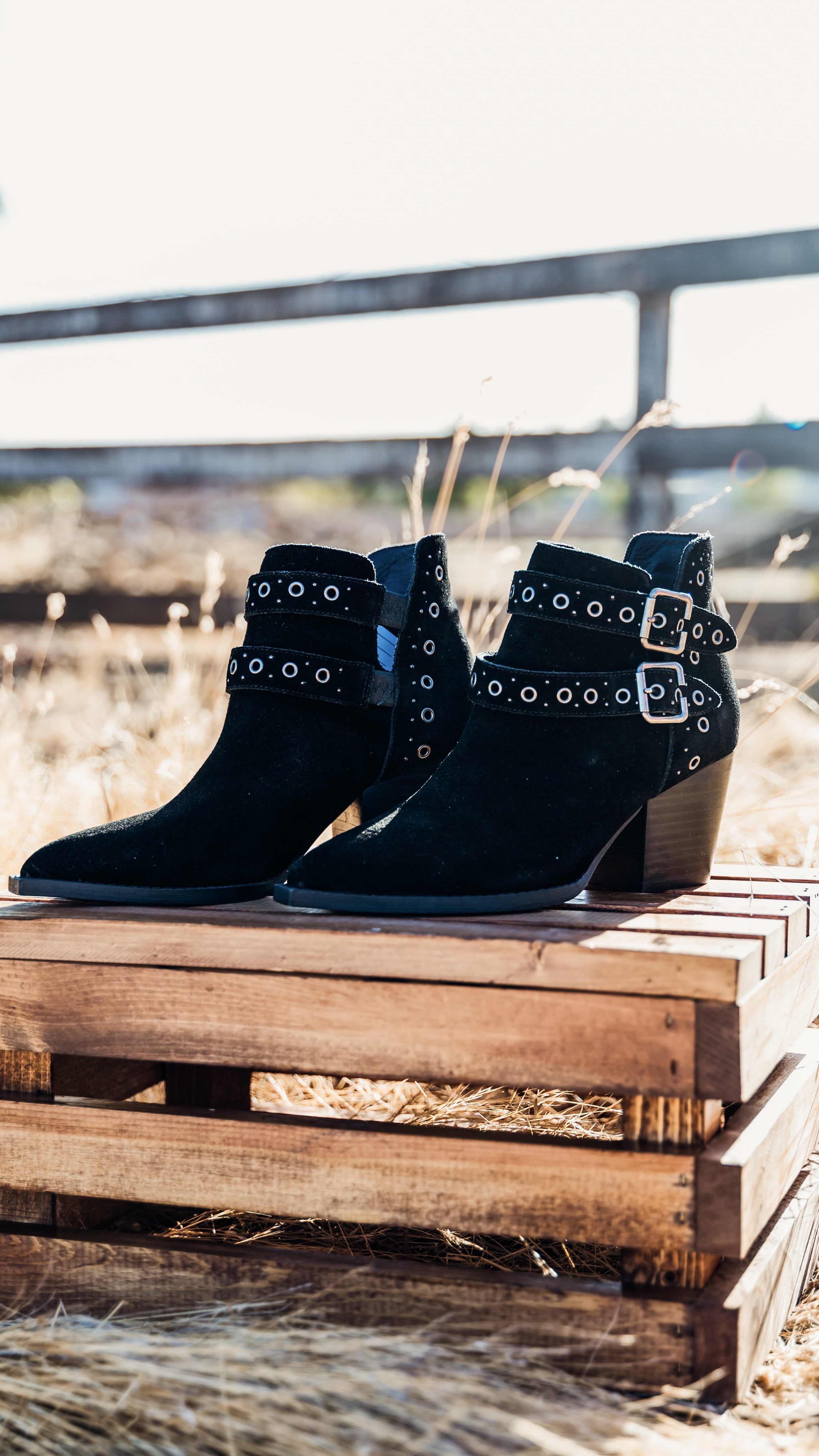 Elsa Leather Ankle Boot in Black - Charming Charlie