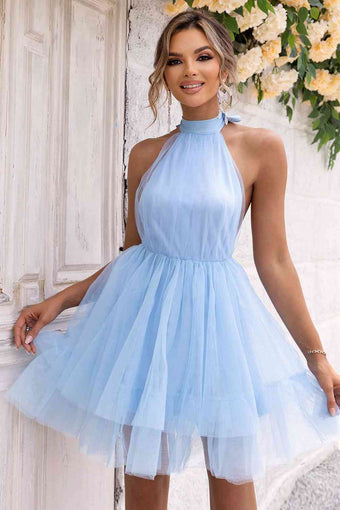 Halter Neck Backless Mesh Dress main image 0